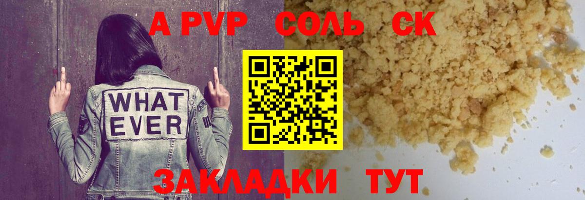 A PVP СК КРИС Алейск