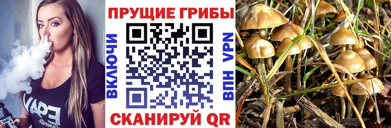 где продают наркотики  Алейск  Псилоцибиновые грибы Magic Shrooms 