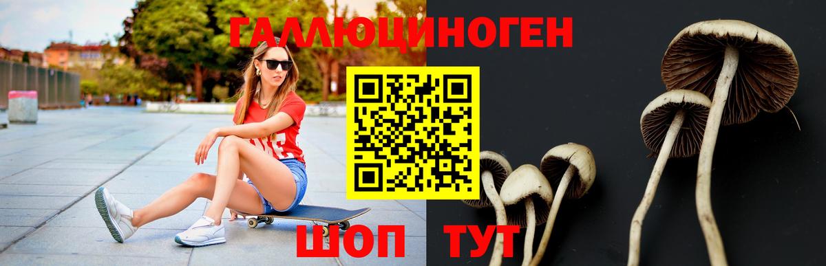 Псилоцибиновые грибы ЛСД  Вход с VPN  Алейск  Галлюциногенные грибы ЛСД 